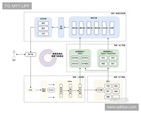 维尔茨：从组织核心到终结参与者的数据进化分析