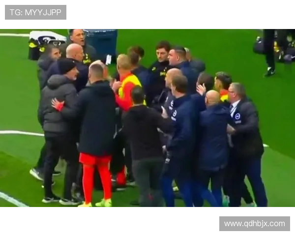 热刺防守问题显现，后防稳定性面临考验，对赛季走势产生影响